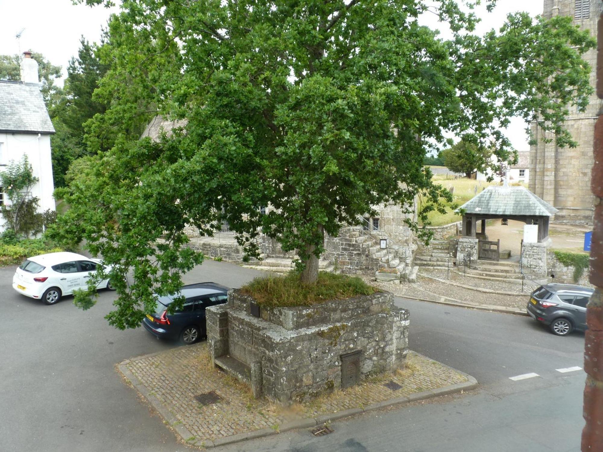 Seven Stars - Bed & Breakfast & Restaurant Okehampton Dış mekan fotoğraf